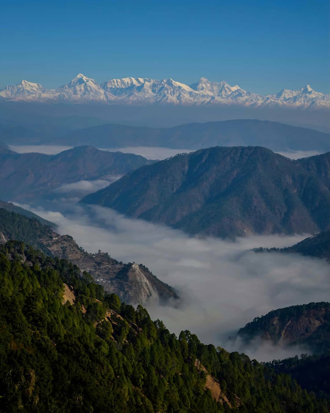 Kedarkantha summit at sunrise with golden light