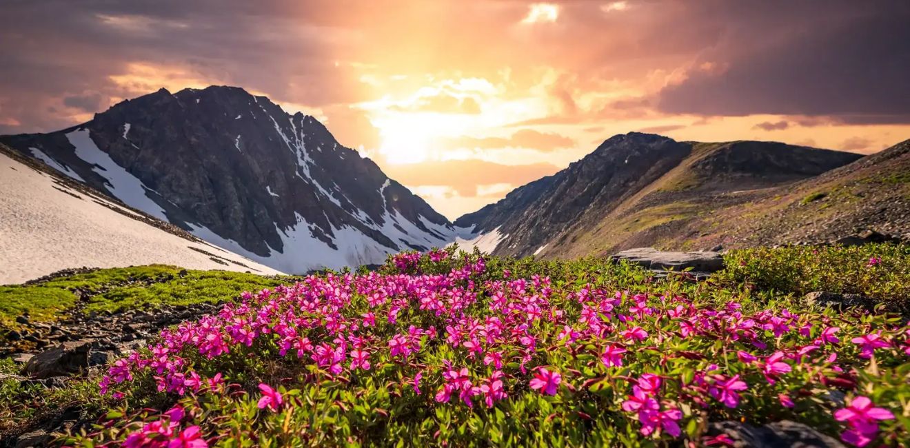 Valley of Flowers