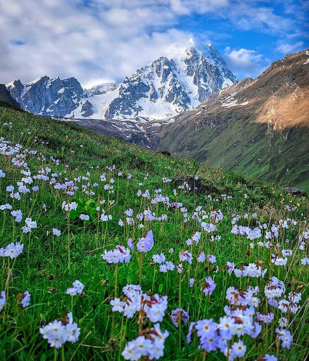 Harshil valley