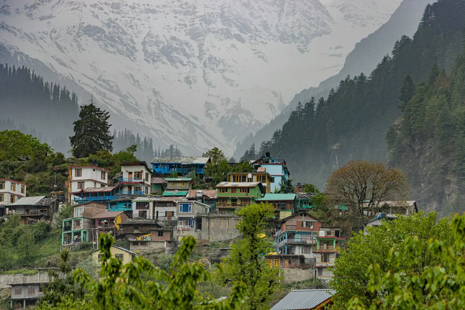 Manali Kasol