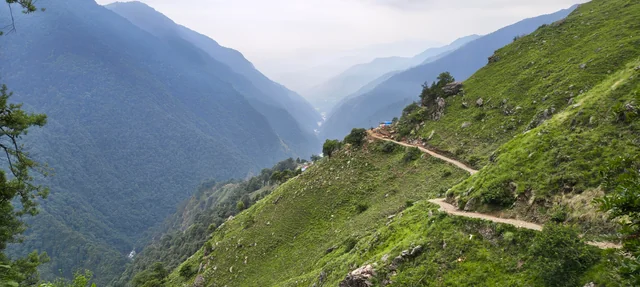 Deodar forest trek trail
